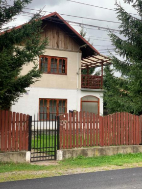 Vila Busteni DORA, locatie superba strada Grivitei 36 Buşteni